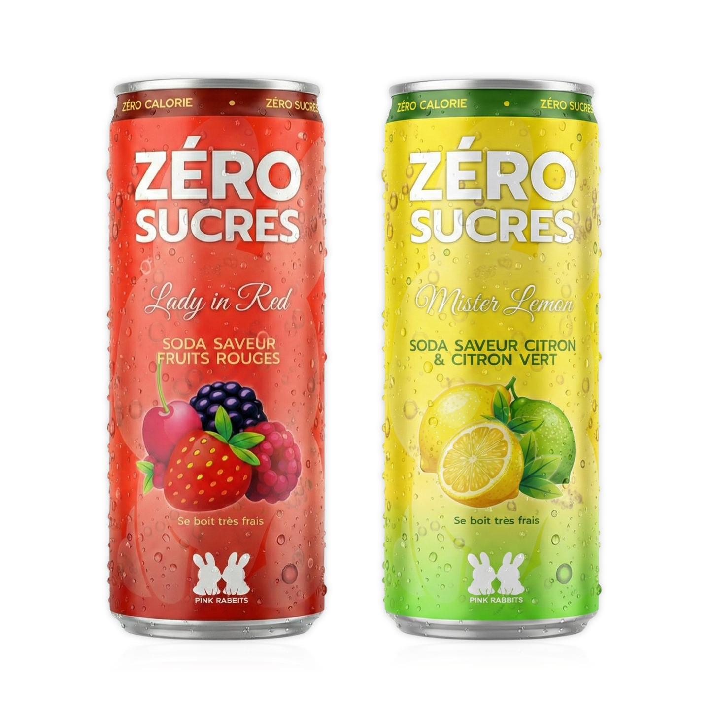PACK DECOUVERTE (2 PACKS de 6)