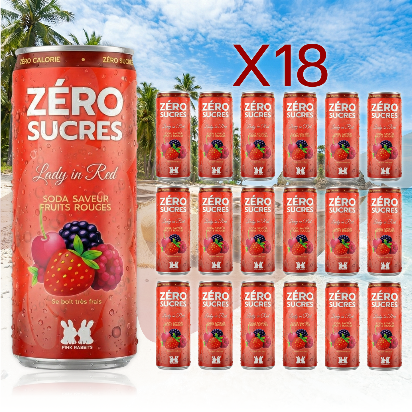 3 PACKS de 6 + LIVRAISON GRATUITE