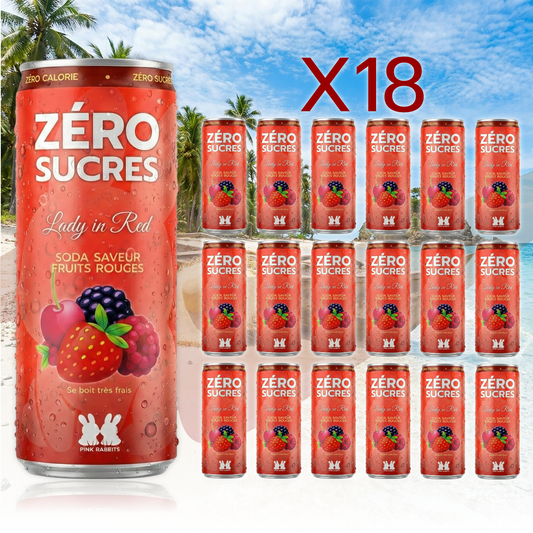 3 PACKS de 6 + LIVRAISON GRATUITE