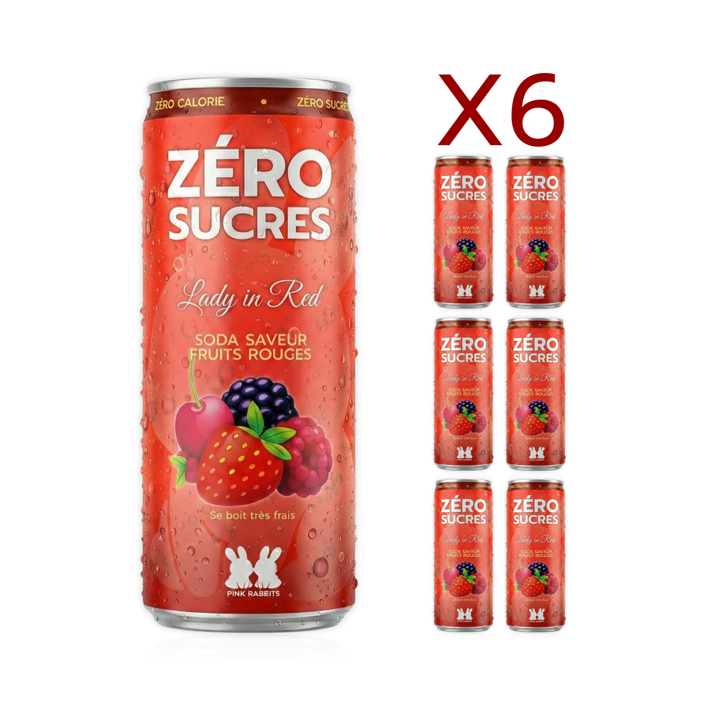 1 PACK de 6