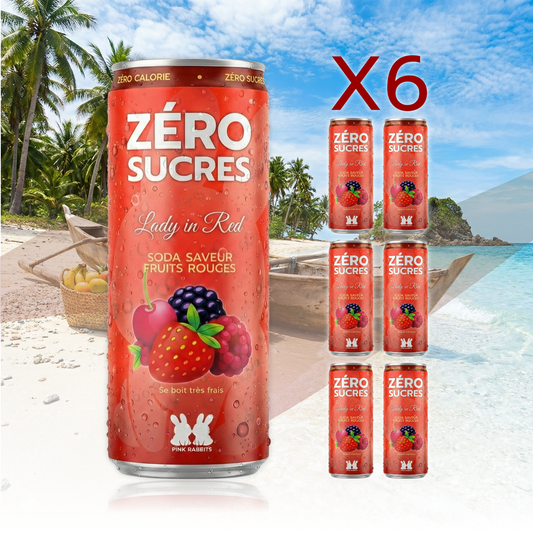 1 PACK de 6