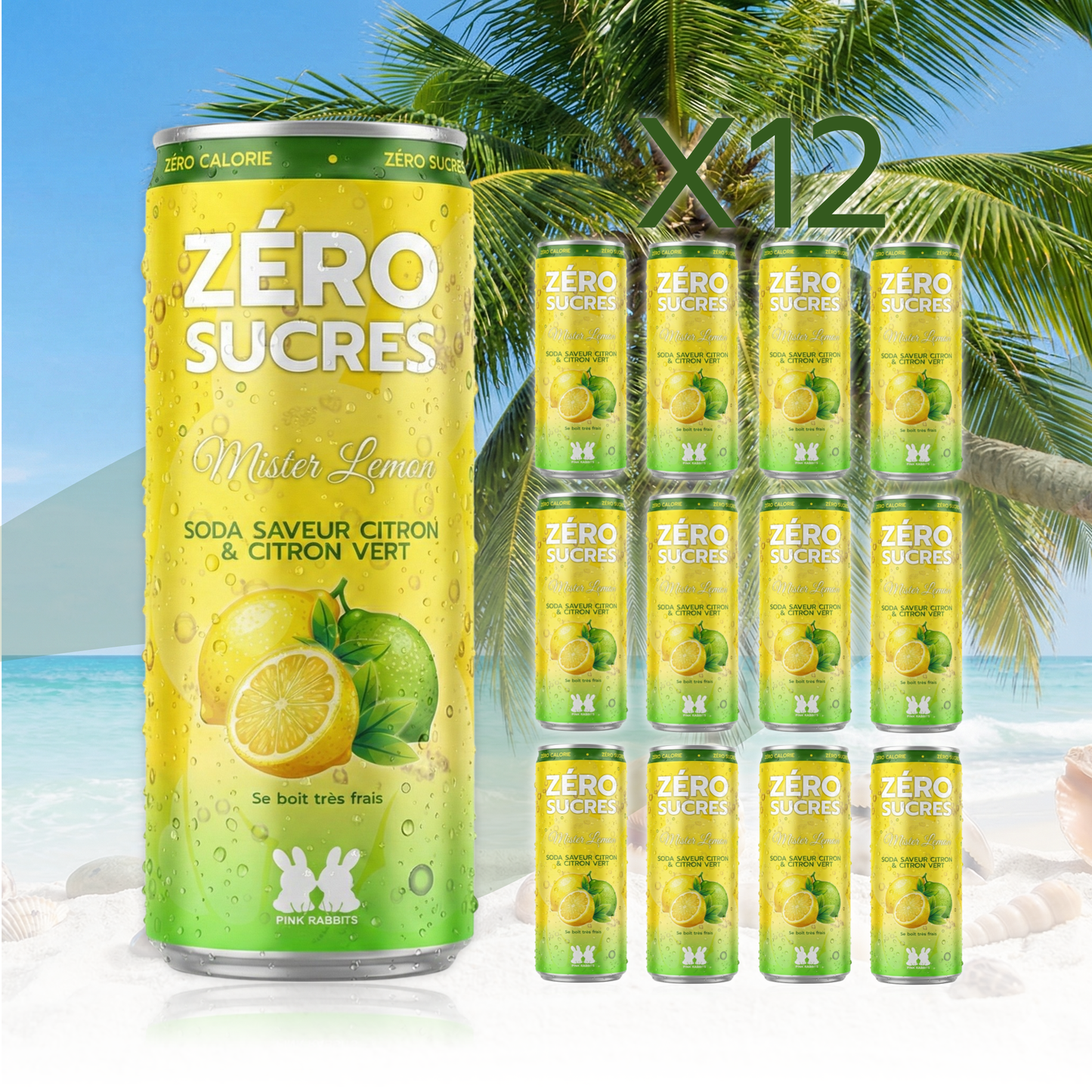 2 PACKS de 6