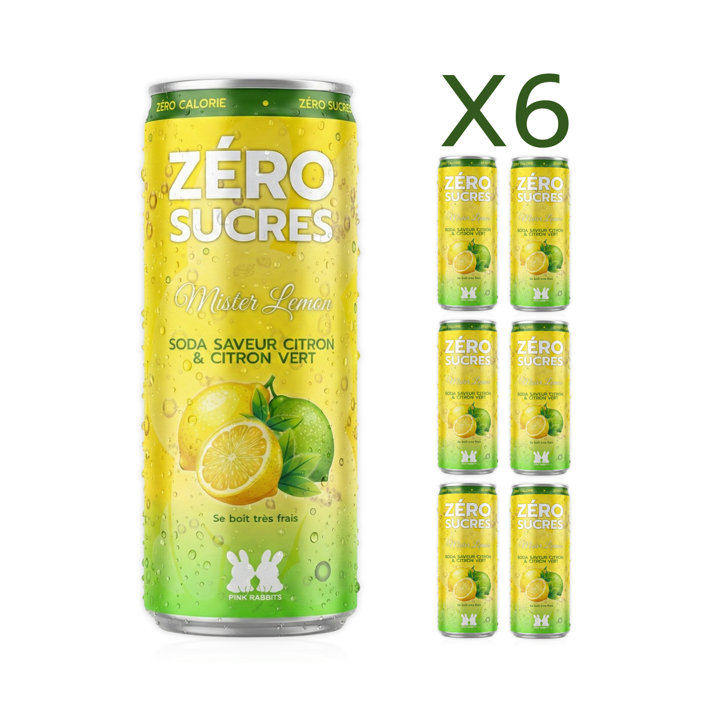 1 PACK de 6