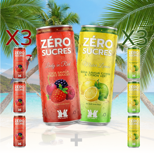 MINI PACK DECOUVERTE (1 PACK MIX)