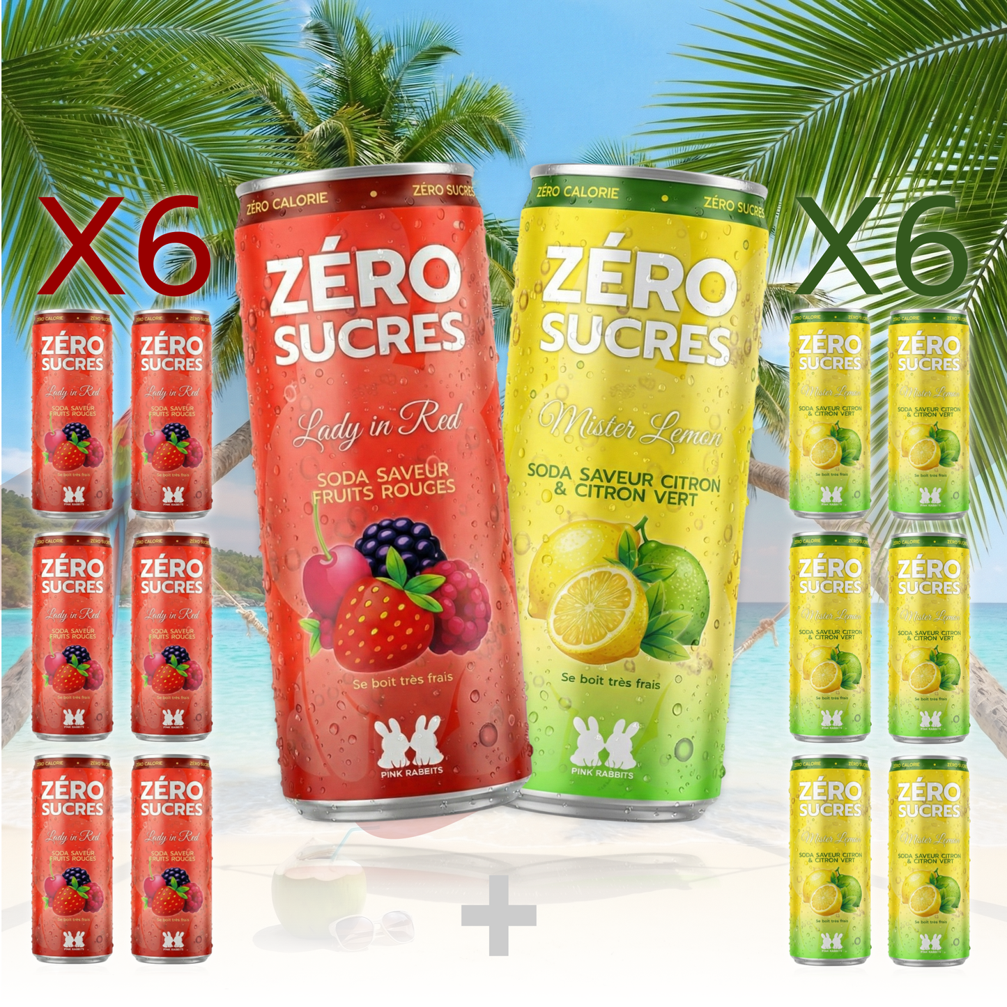PACK DECOUVERTE (2 PACKS de 6)