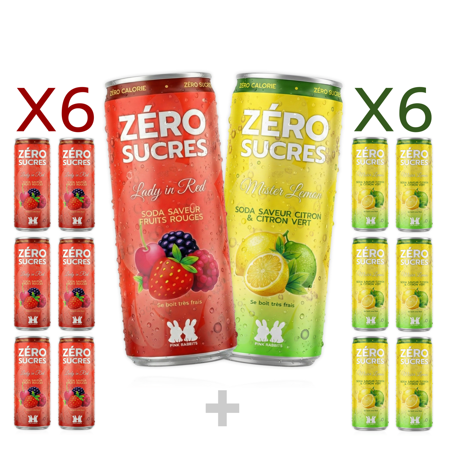 PACK DECOUVERTE (2 PACKS de 6)